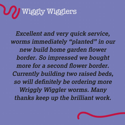 More Cracking Customer Reviews - (Leave us a Review and get some green points!)