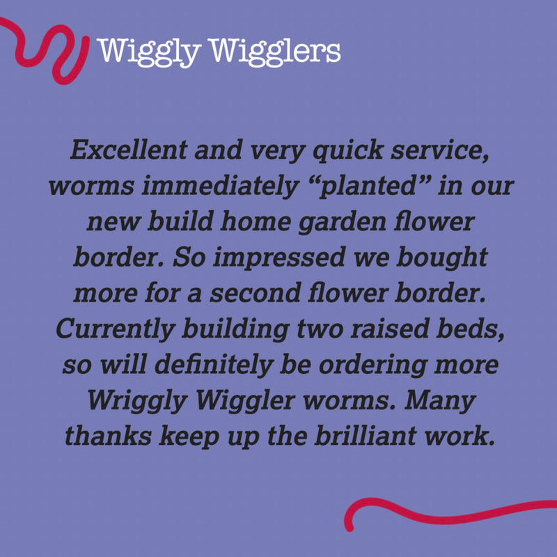 More Cracking Customer Reviews - (Leave us a Review and get some green points!)