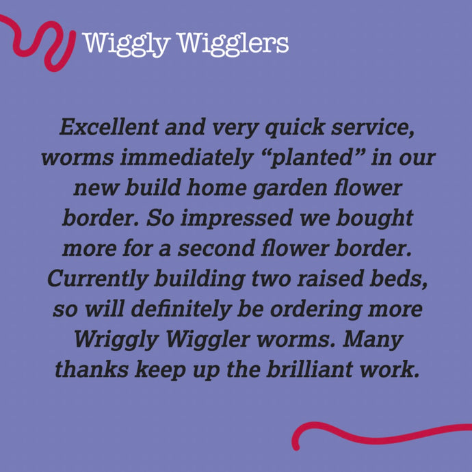 More Cracking Customer Reviews - (Leave us a Review and get some green points!)