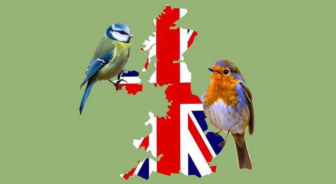 What British birds are most common in different parts of the country?