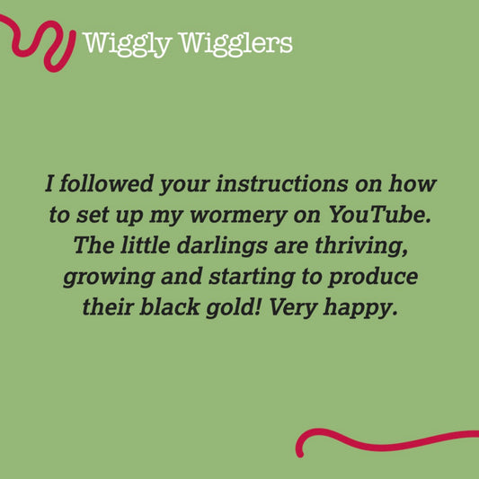 More 5 Star Reviews from our Wiggly Customers!