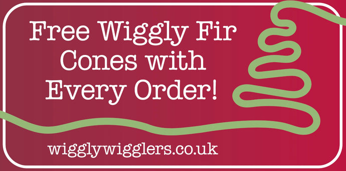 Free Bag of Fir Cones with EVERY ORDER!