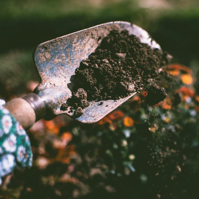 Composting: The Feel-Good Habit That Nurtures More Than Soil