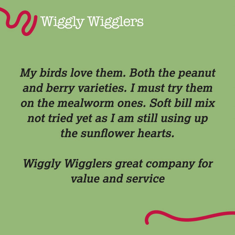 Some Customer Reviews that made us Smile :)