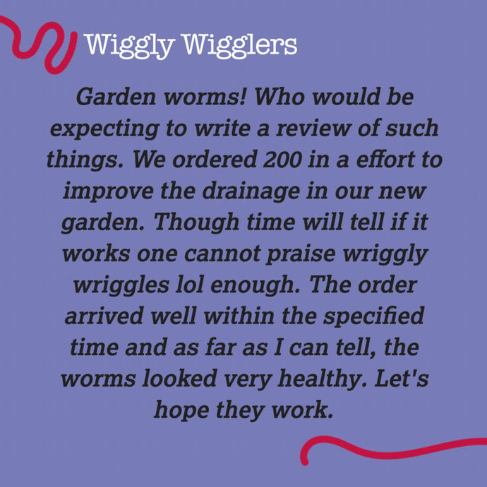 Wigglys are always a winner with our customers!