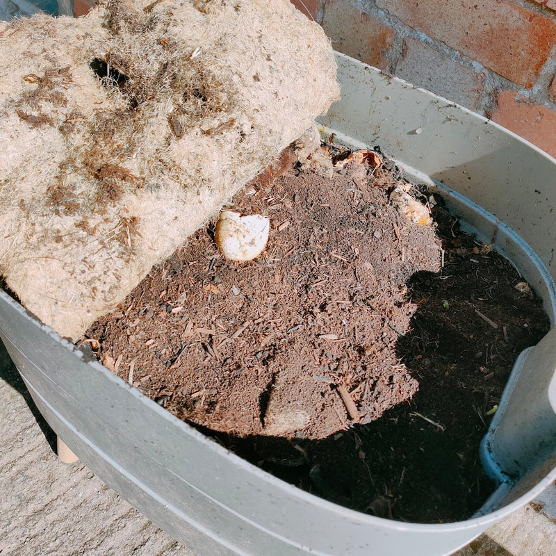 Should I regularly rake through the compost in my wormery?