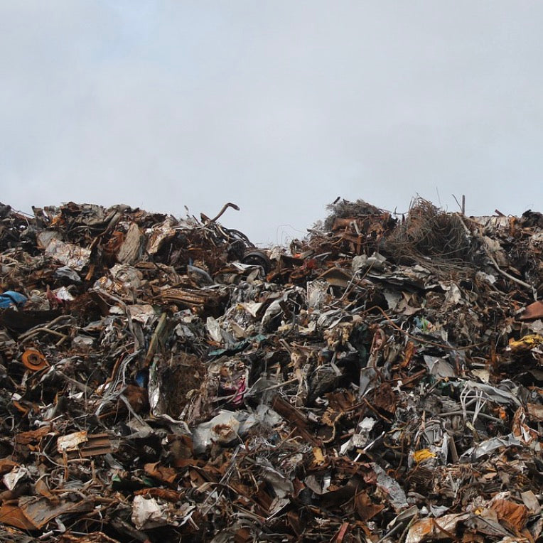 Why are we so enthusiastic about reducing food waste and composting?