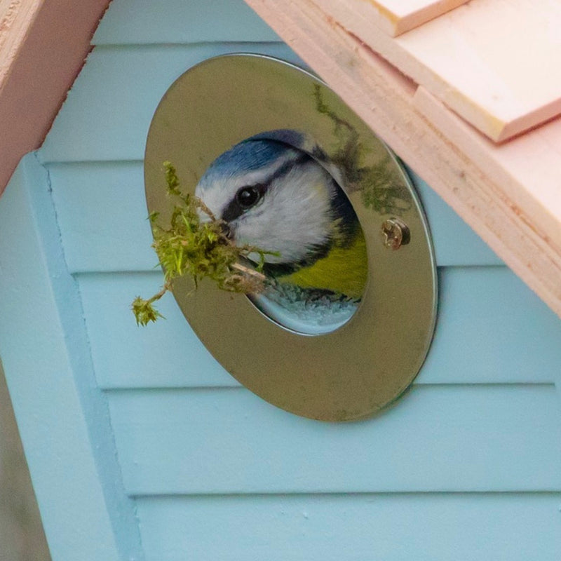 Birds need good food & a comfortable house and home (and that's what we've got!)