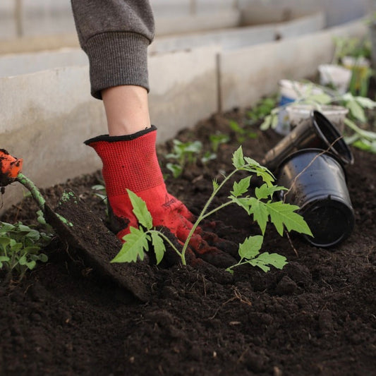 Good earth for a good crop