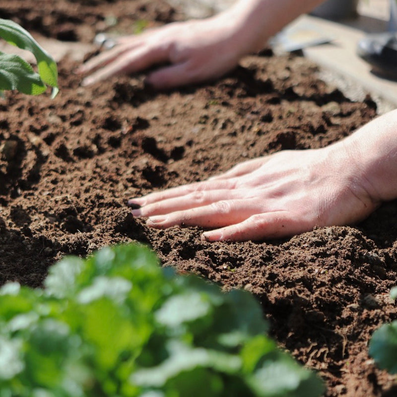 How to make excellent compost?