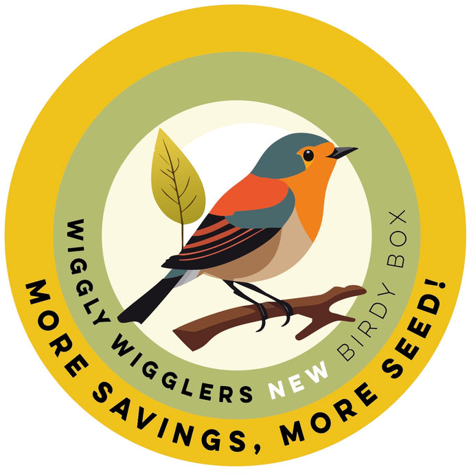 What's in the NEW Wiggly Birdybox for April 2024?