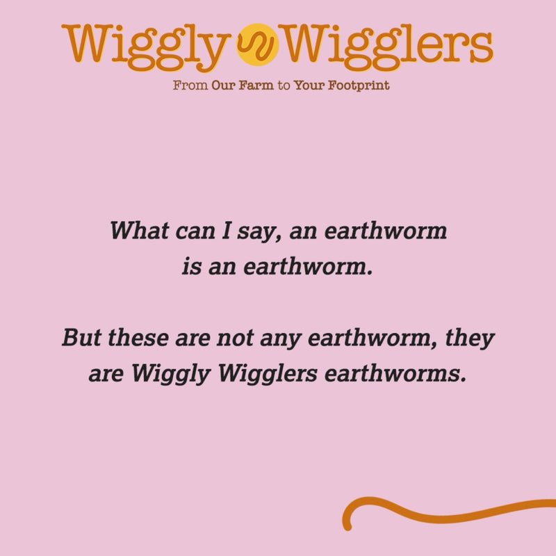 Wiggly Feedback from our Customers - benefitting their garden with our composting kits!