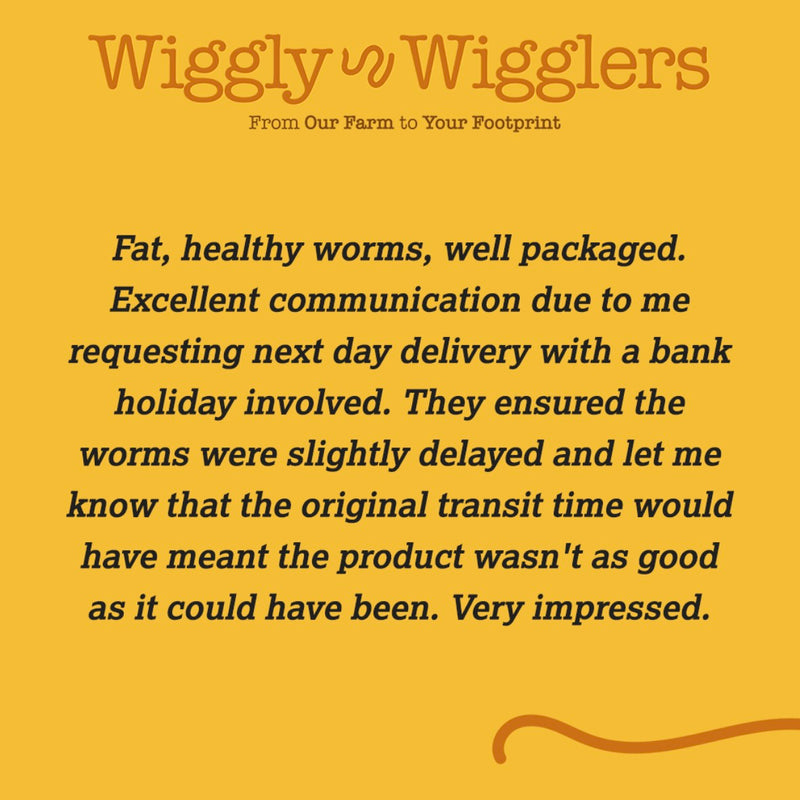 Customer Voices: Honest Reviews You Need to Read