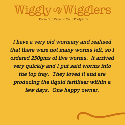 Cracking Wiggly Feedback :)
