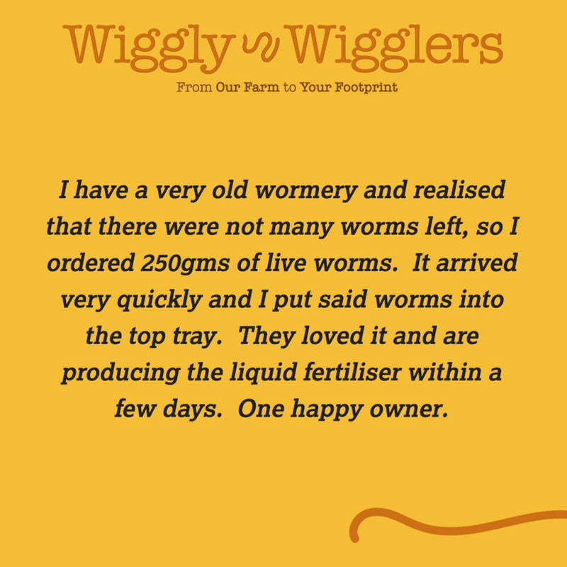 Cracking Wiggly Feedback :)