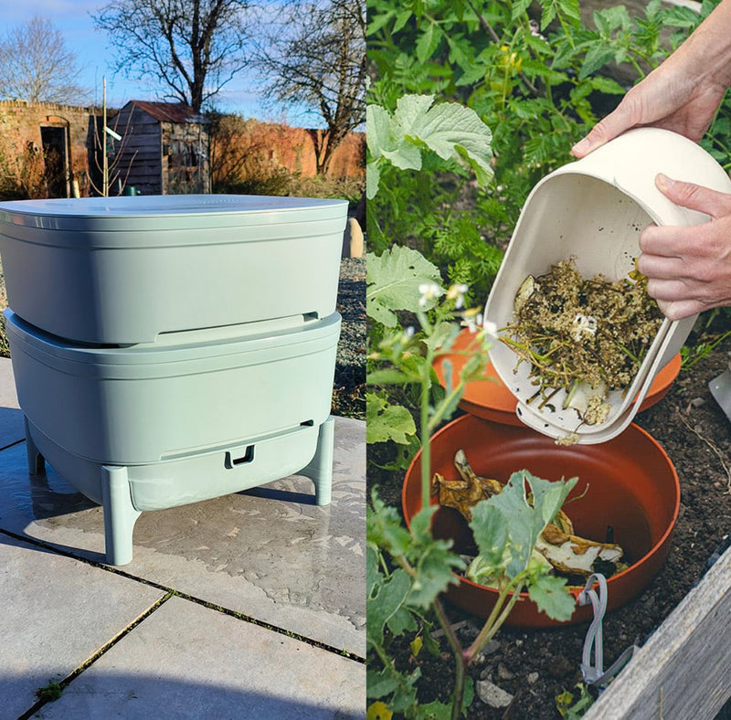 Should I Choose an In-Ground Wormery or a Regular Wormery Kit?