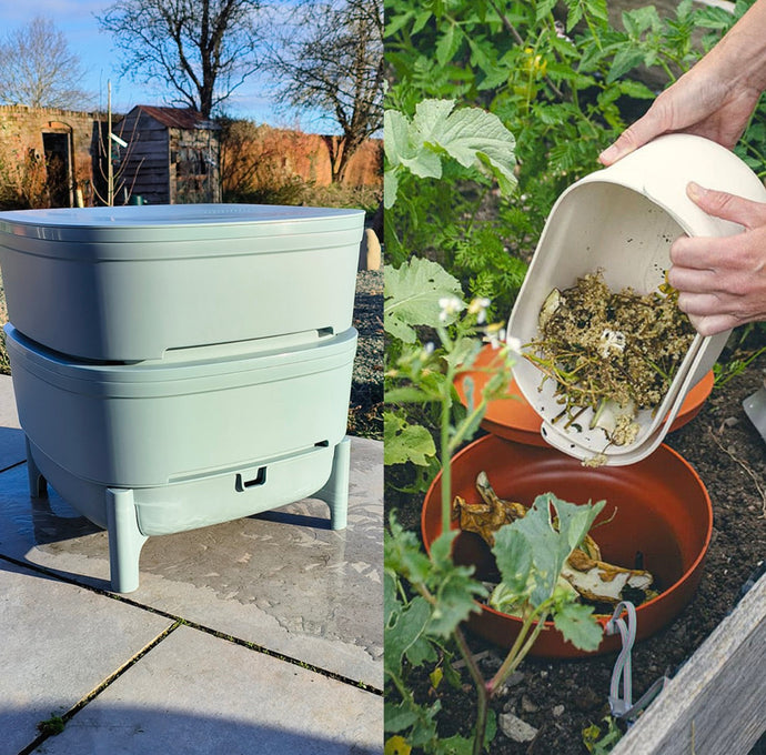 Should I Choose an In-Ground Wormery or a Regular Wormery Kit?