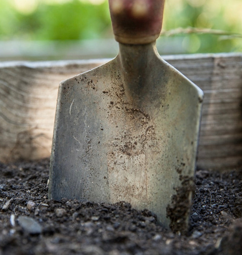 Turn Your Food Waste into the Best Fertiliser for Your Garden and Allotment