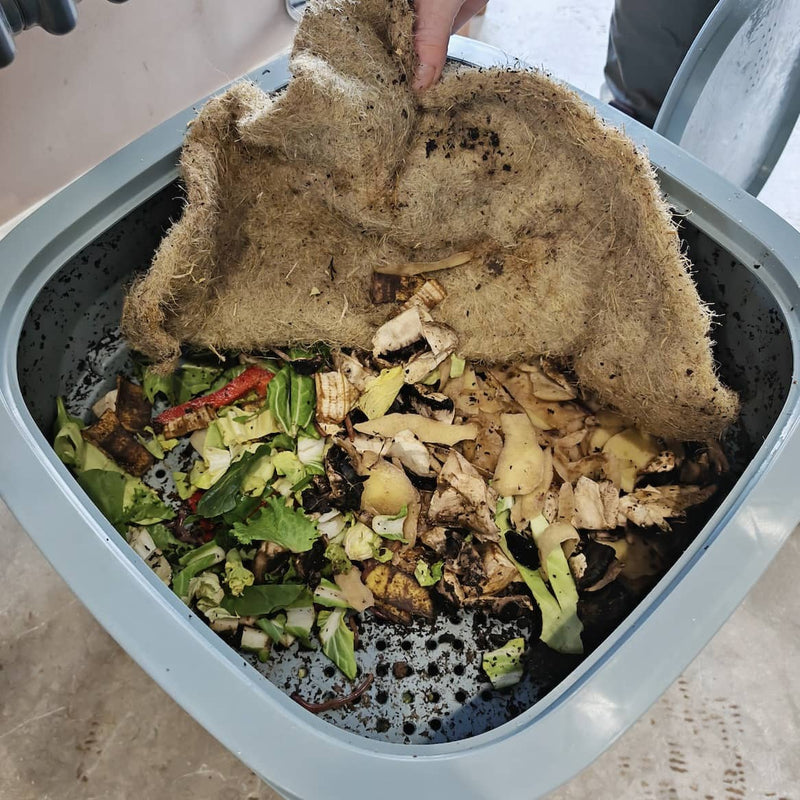 How to Maintain Your Wormery for Maximum Composting Success