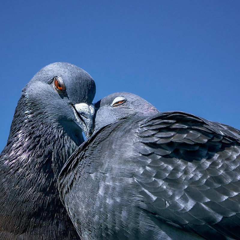 Wiggly Secrets: Why Being on Our Email List is a Bit Brilliant