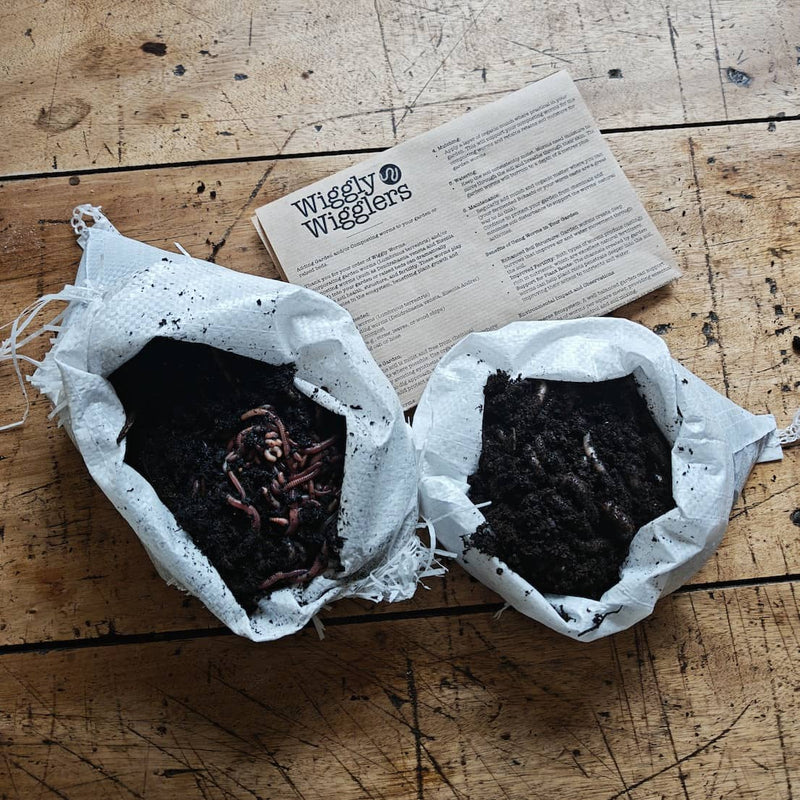 How to Improve the Soil in Raised Beds (The Simple Way That Actually Works)