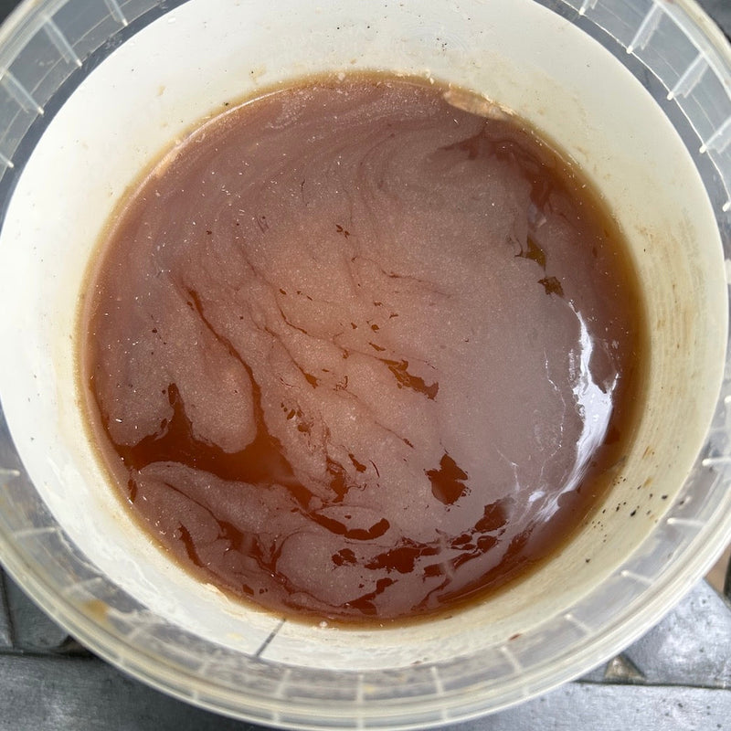 What is Bokashi Tea – and How Do You Use It?