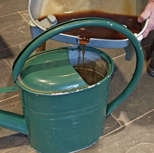 Creative Uses for Wormery Liquid: Unlock Its Hidden Benefits