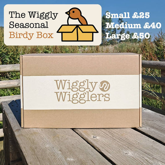 ✨ Your February Birdy Box is here!