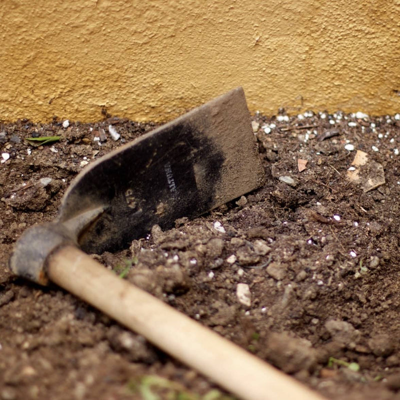 If We Need a Food Revolution, We Need a Soil Revolution