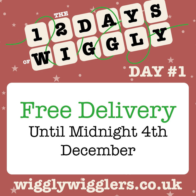 Free Delivery to Kick Off the Wiggly 12 Days of Christmas