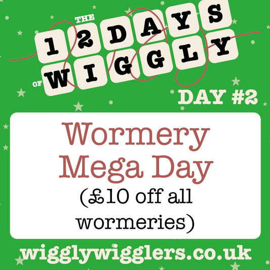 Wormery Mega Day – £10 Off + The Perfect Christmas Gift