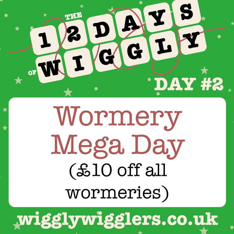Wormery Mega Day – £10 Off + The Perfect Christmas Gift