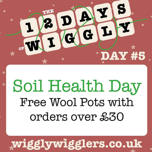 Soil is everything. Free Wool Pots with orders over £30 until midnight tonight.