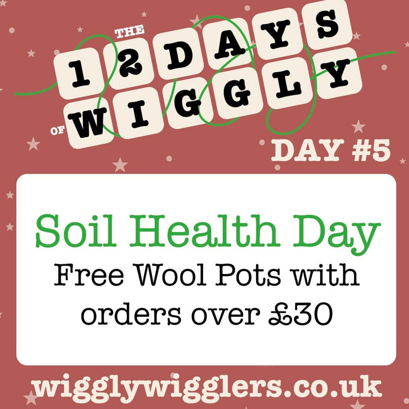 Soil is everything. Free Wool Pots with orders over £30 until midnight tonight.