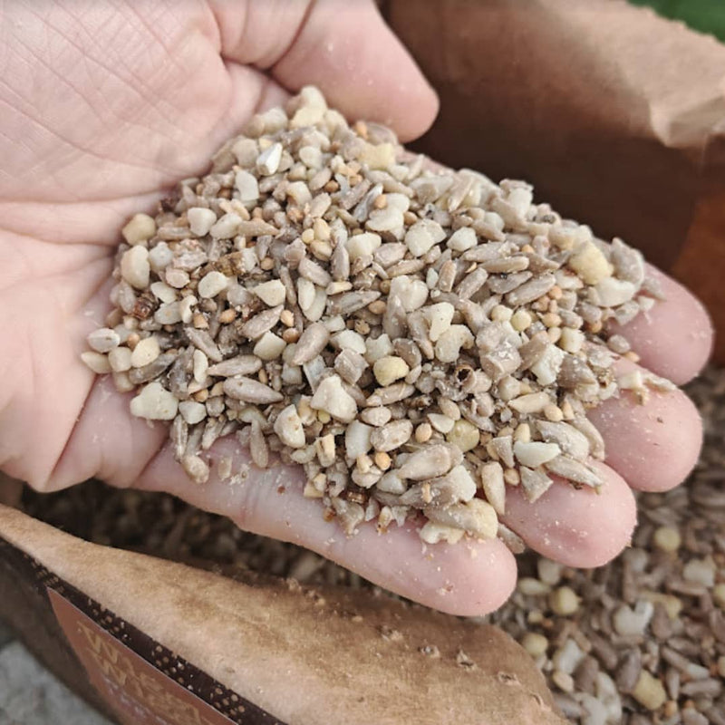 Our Wiggly Winter Seasonal Seed Mix is here!🐦