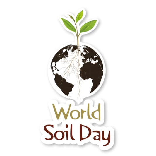 WORLD SOIL DAY — AND WHY A WORMERY IS THE BEST PRESENT YOU’LL EVER GIVE YOUR GARDEN (AND YOURSELF)