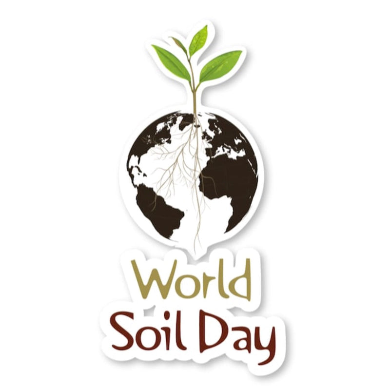WORLD SOIL DAY — AND WHY A WORMERY IS THE BEST PRESENT YOU’LL EVER GIVE YOUR GARDEN (AND YOURSELF)