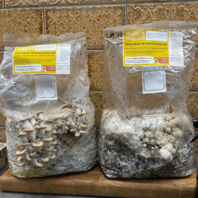 Grow Mushrooms. Eat Them. Feed the Soil.