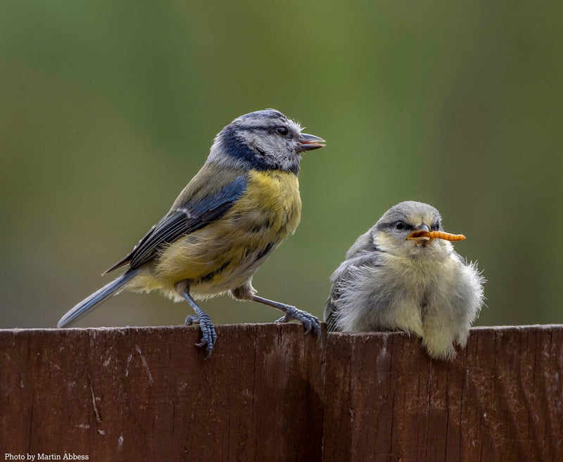 One photo. One mouthful. A big reminder of why live food matters.