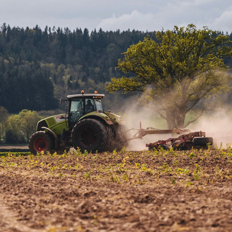 Meet the Gorringes – The Family Farm Behind Wiggly Wigglers