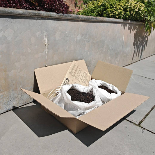 Can I Add Worms to My Planters?