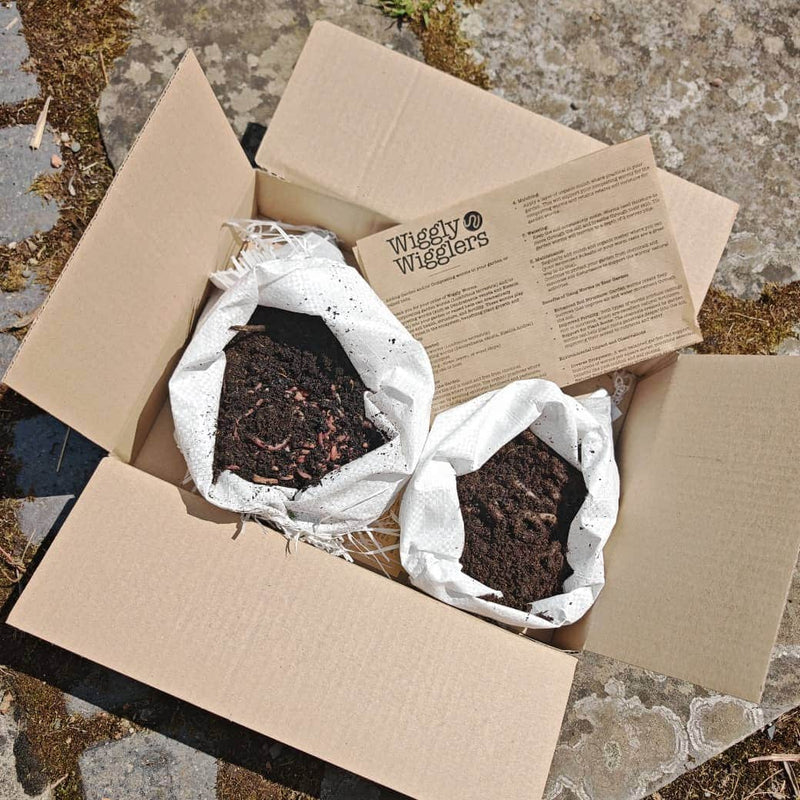 Is It Worth Adding Worms to Clay Soil?