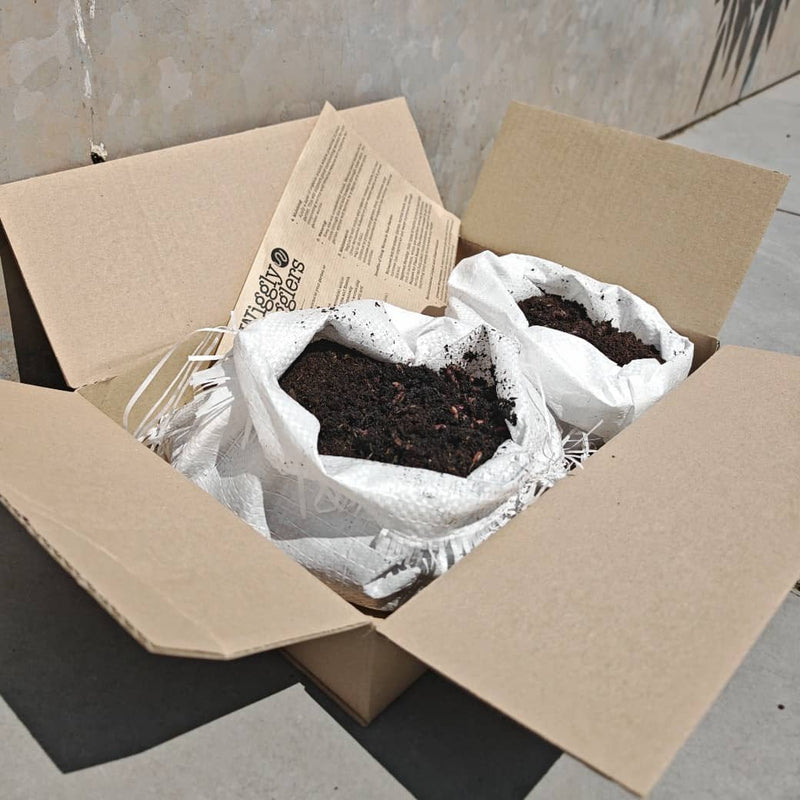 How Many Worms Do I Need per Square Metre of Raised Bed?