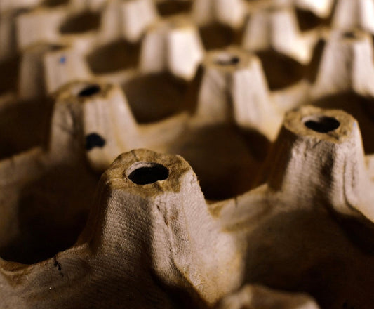 Wormery Question of the Week 🪱  “I added some torn-up egg boxes a week ago and they haven’t been eaten at all. Should I be worried?”