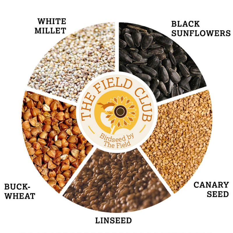 Introducing The Field Club: Birdseed, by the Field