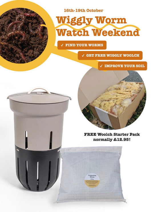 🐑 Our Worm Watch Weekend Offer: FREE Woolch!