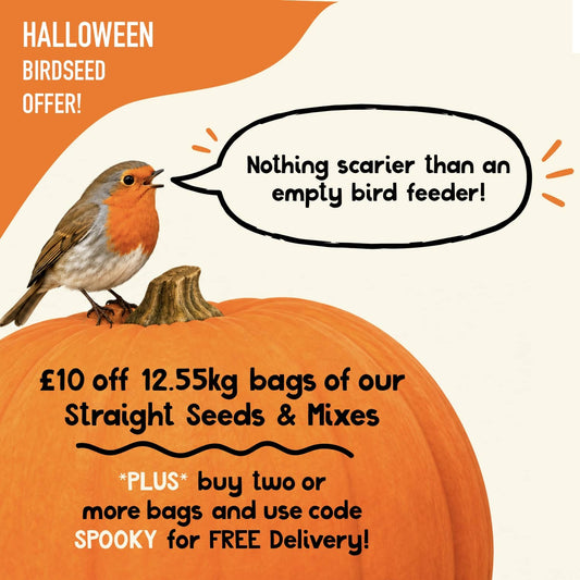 Save £10 on every 12.55kg bag of bird food this Halloween, plus free standard delivery when you buy two or more.