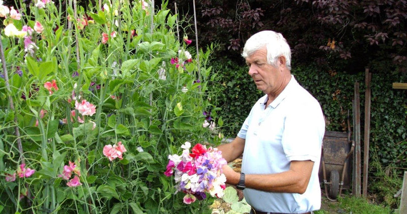 Guest Blogger - Mr Terry Walton - talking about his wormery :0)