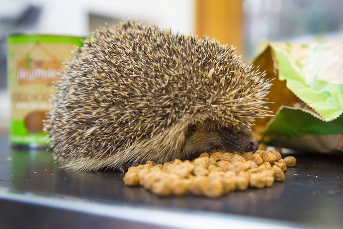 Introducing our NEW range of Hedgehog and Duck Food!