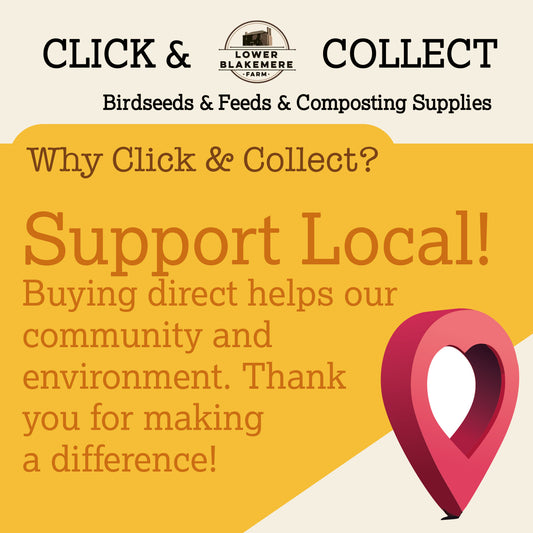 Click & Collect your order Today!